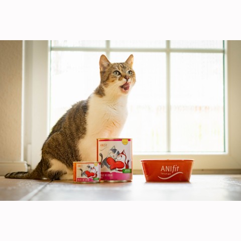 Katze Nassfutter Délice de Coeur 400g 6 Stück -3- Anifit