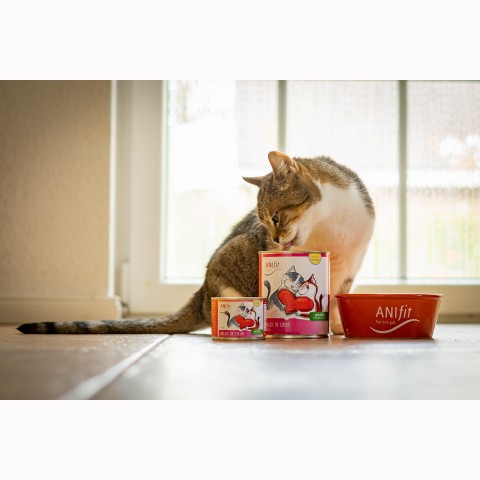 Katze Nassfutter Délice de Coeur 810g 6 Stück -3- Anifit