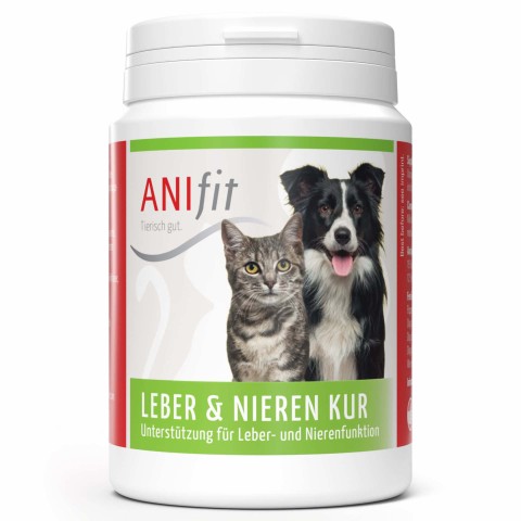 Leber & Nieren Kur 80g (1 Stück)