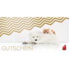 Hund Katze Provital Werbematerial Zubehör Anifit 10 EUR Gutschein ONLINE 1 Stück -2- Anifit